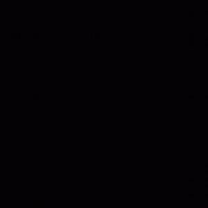 Meet your Posher, Frances